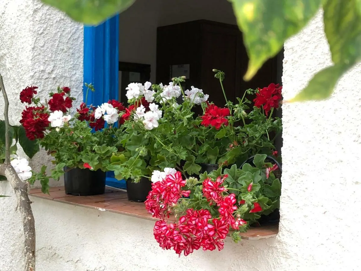 La Casa Del Limoneto Panzió Favignana