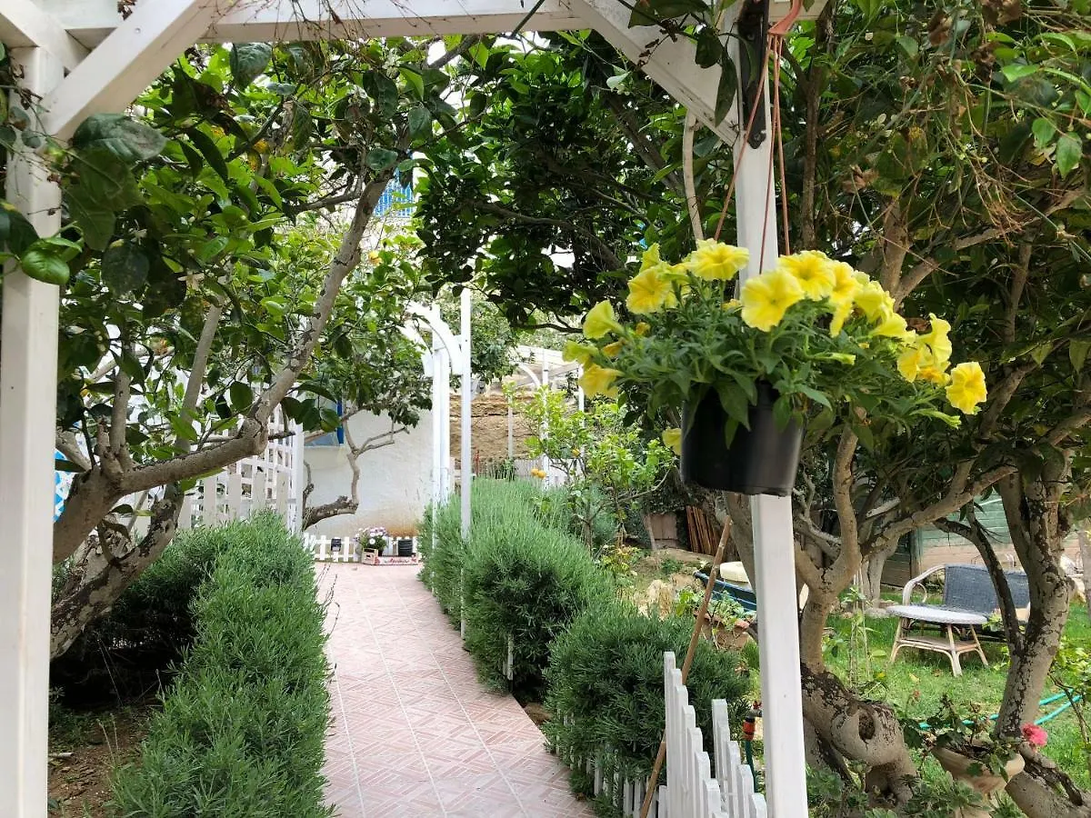 La Casa Del Limoneto Panzió Favignana Olaszország